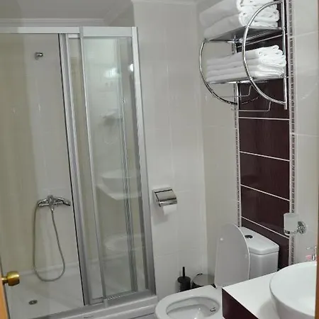 Отель Gebze Palas Hotel *