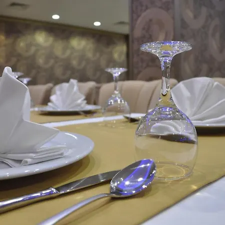 Отель Gebze Palas Hotel