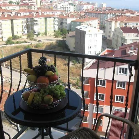 Отель Gebze Palas Hotel *