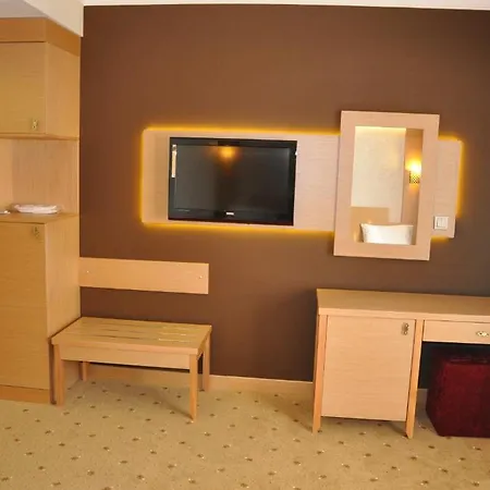 Отель Gebze Palas Hotel Гебзе